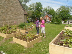 Grace Church veggie garden