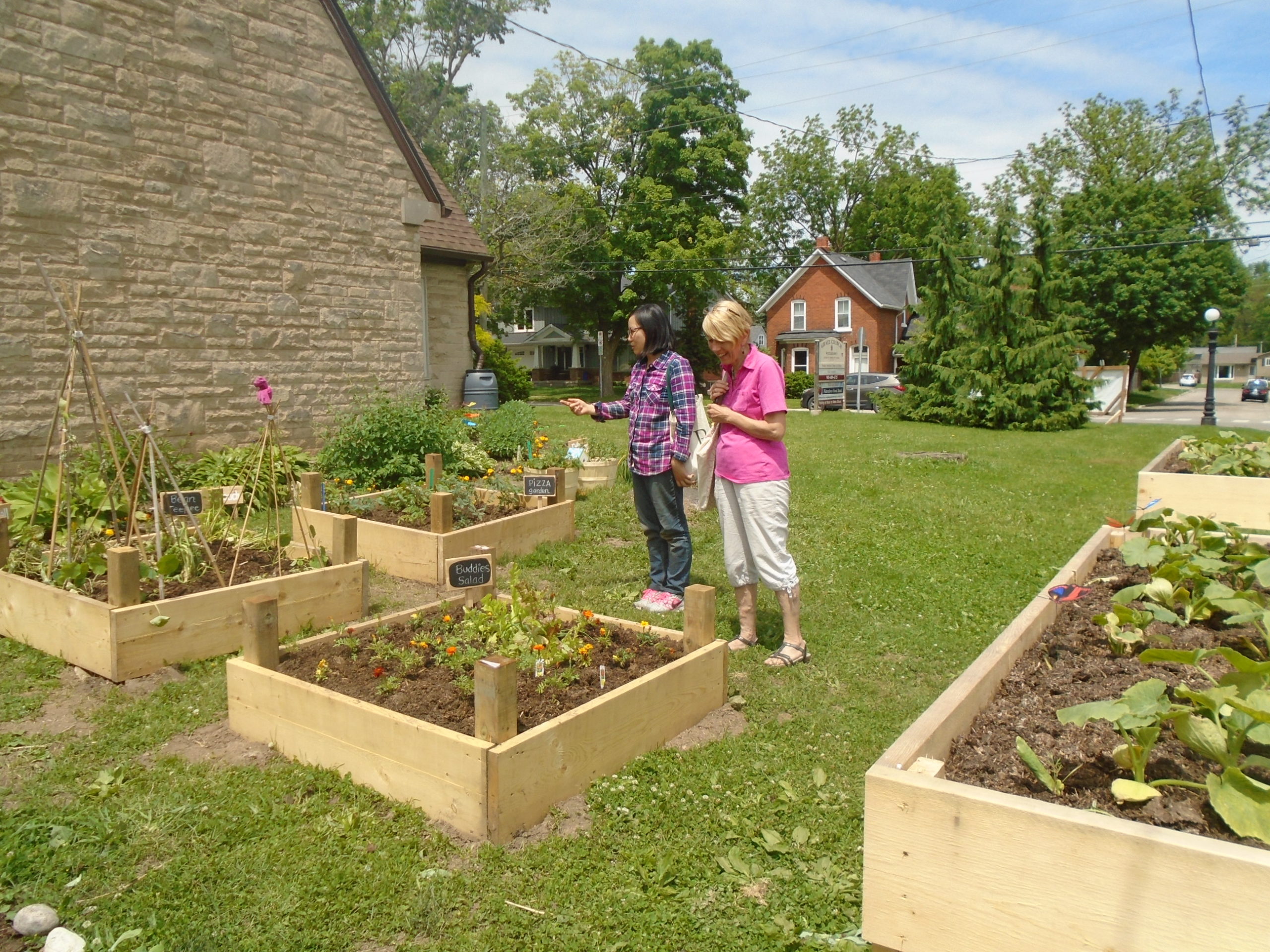Grace Church veggie garden